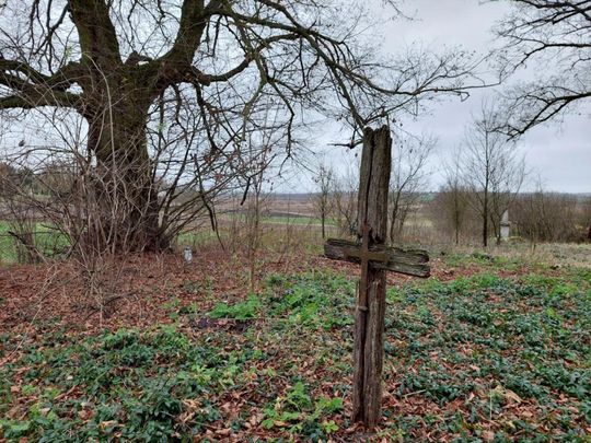 XVII-wieczny cmentarz w Mikulinie kryje wiele tragicznych historii [ZDJĘCIA]