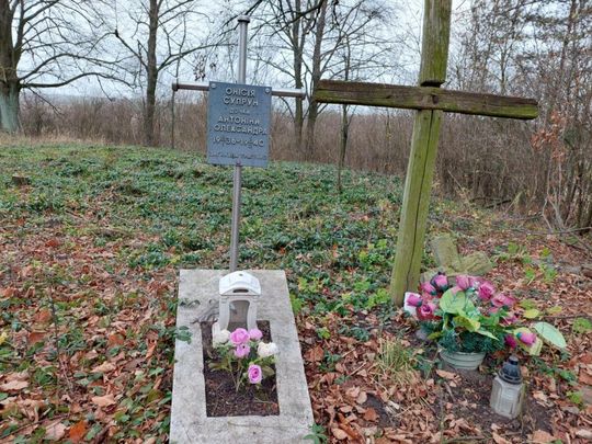 XVII-wieczny cmentarz w Mikulinie kryje wiele tragicznych historii [ZDJĘCIA]