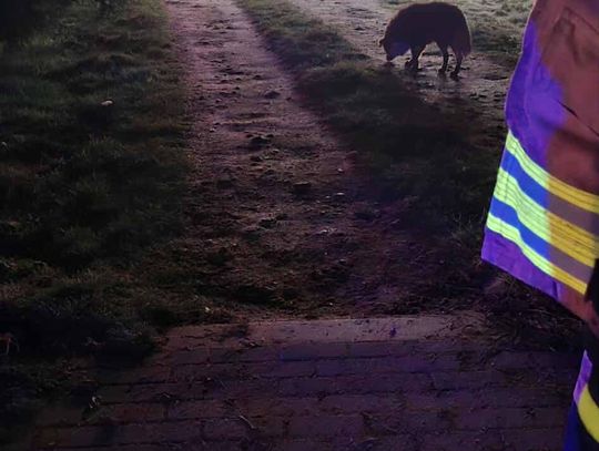 Tragiczny pożar. Nie żyje 53-latek [ZDJĘCIA]