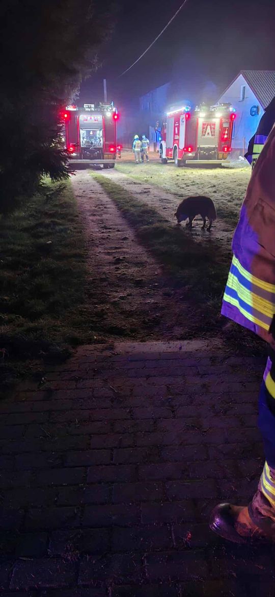 Tragiczny pożar. Nie żyje 53-latek [ZDJĘCIA]