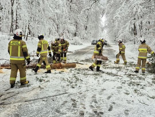 Atak zimy na Zamojszczyźnie. Dziesiątki interwencji straży [ZDJĘCIA]