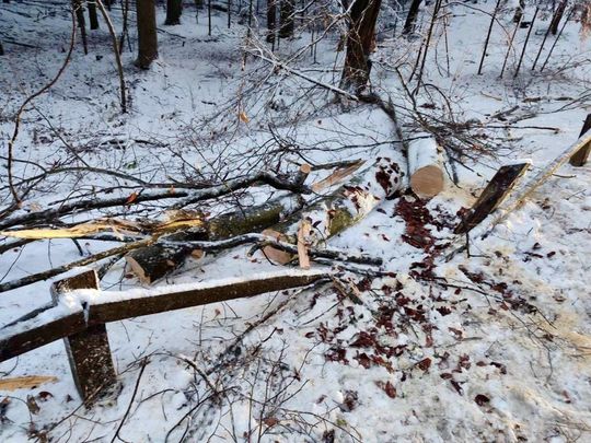 Atak zimy na Zamojszczyźnie. Dziesiątki interwencji straży [ZDJĘCIA]