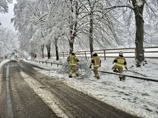 Atak zimy na Zamojszczyźnie. Dziesiątki interwencji straży [ZDJĘCIA]