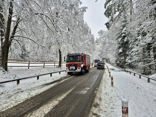 Atak zimy na Zamojszczyźnie. Dziesiątki interwencji straży [ZDJĘCIA]