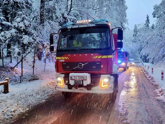 Atak zimy na Zamojszczyźnie. Dziesiątki interwencji straży [ZDJĘCIA]