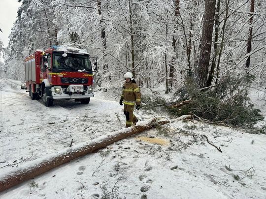 Atak zimy na Zamojszczyźnie. Dziesiątki interwencji straży [ZDJĘCIA]