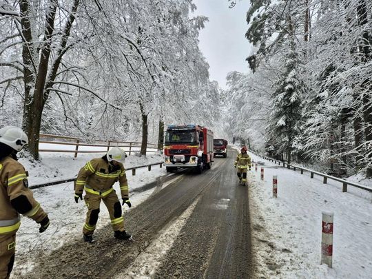 Atak zimy na Zamojszczyźnie. Dziesiątki interwencji straży [ZDJĘCIA]