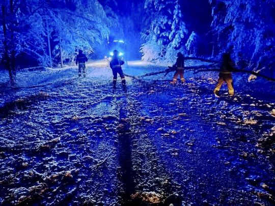 Atak zimy na Zamojszczyźnie. Dziesiątki interwencji straży [ZDJĘCIA]