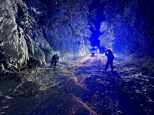 Atak zimy na Zamojszczyźnie. Dziesiątki interwencji straży [ZDJĘCIA]