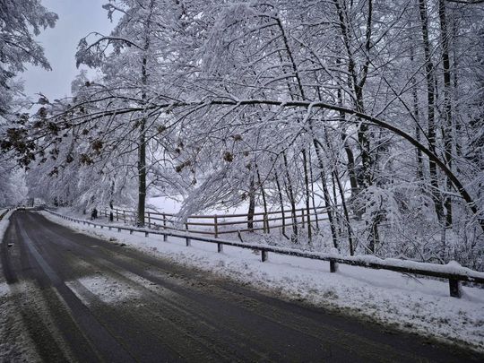 Atak zimy na Zamojszczyźnie. Dziesiątki interwencji straży [ZDJĘCIA]