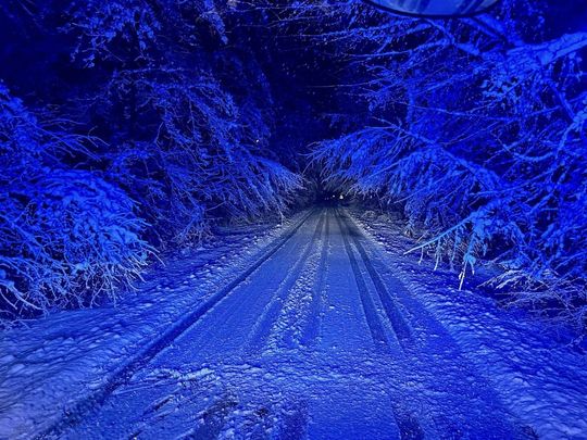 Atak zimy na Zamojszczyźnie. Dziesiątki interwencji straży [ZDJĘCIA]