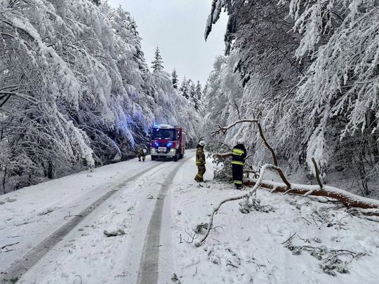 Atak zimy na Zamojszczyźnie. Dziesiątki interwencji straży [ZDJĘCIA]