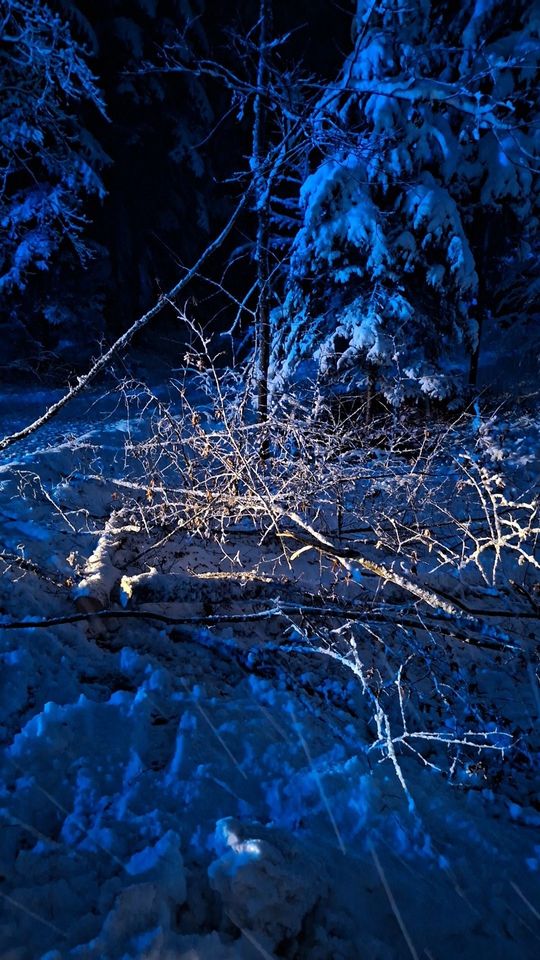 Atak zimy na Zamojszczyźnie. Dziesiątki interwencji straży [ZDJĘCIA]