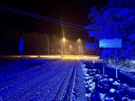 Atak zimy na Zamojszczyźnie. Dziesiątki interwencji straży [ZDJĘCIA]