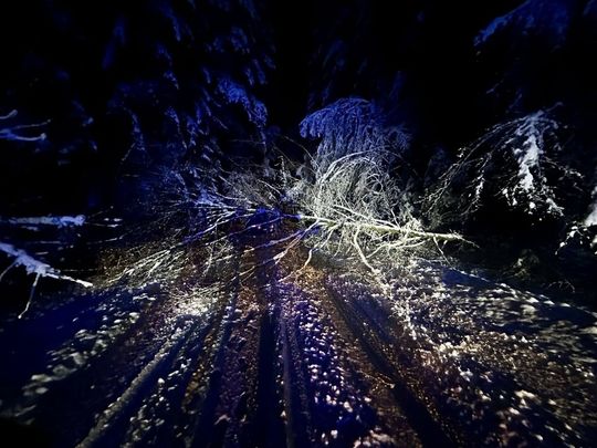 Atak zimy na Zamojszczyźnie. Dziesiątki interwencji straży [ZDJĘCIA]