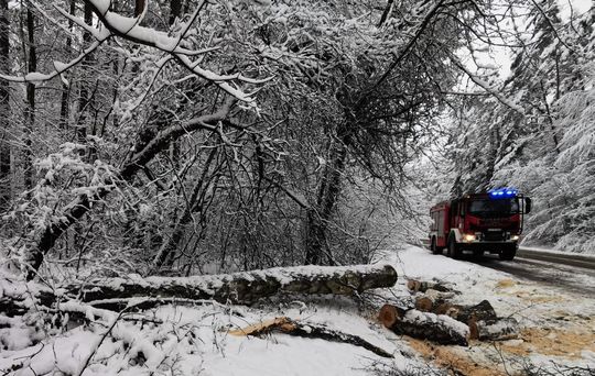 Atak zimy na Zamojszczyźnie. Dziesiątki interwencji straży [ZDJĘCIA]