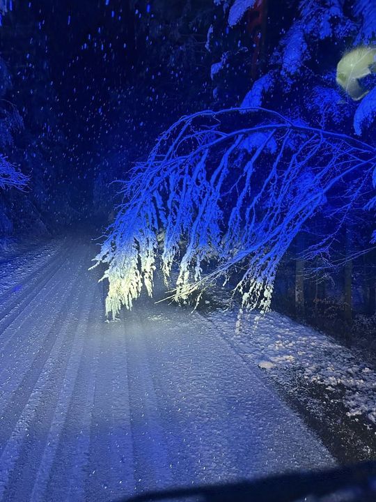 Atak zimy na Zamojszczyźnie. Dziesiątki interwencji straży [ZDJĘCIA]