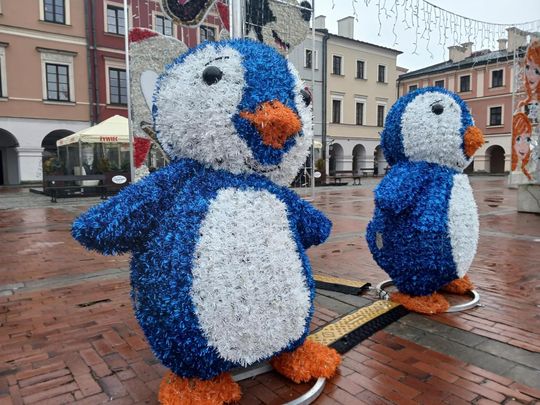 W Zamościu na święta jak w Disneylandzie [ZDJĘCIA]