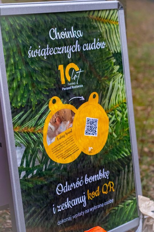 Tomaszowski Bieg Mikołajkowy [GALERIA ZDJĘĆ]