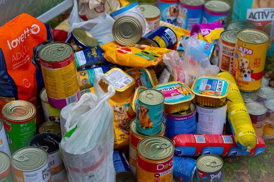 Tomaszowski Bieg Mikołajkowy [GALERIA ZDJĘĆ]