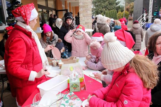 Kiermasz Świąteczny w Hrubieszowie - galeria zdjęć Kiermasz Świąteczny w Hrubieszowie - galeria zdjęć