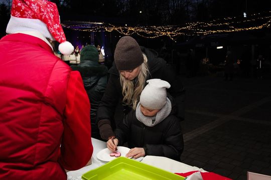 Kiermasz Świąteczny w Hrubieszowie - galeria zdjęć Kiermasz Świąteczny w Hrubieszowie - galeria zdjęć