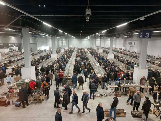 Zamojszczyzna: Nasze gołębie na wystawie w Kielcach [ZDJĘCIA]