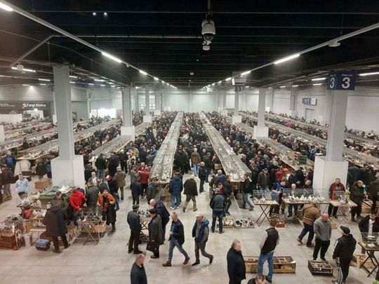 Zamojskie, roztoczańskie gołębie na wystawie POLAND 2025 w Kielcach [ZDJĘCIA]