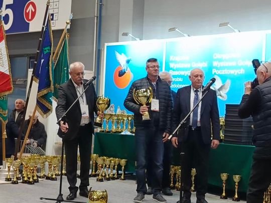 Zamojskie, roztoczańskie gołębie na wystawie POLAND 2025 w Kielcach [ZDJĘCIA]