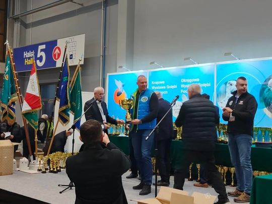 Zamojskie, roztoczańskie gołębie na wystawie POLAND 2025 w Kielcach [ZDJĘCIA]