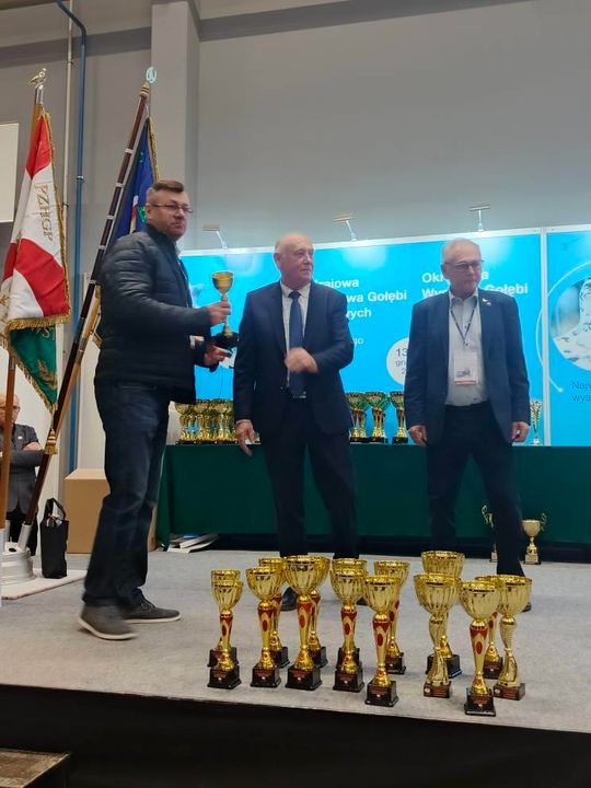 Zamojskie, roztoczańskie gołębie na wystawie POLAND 2025 w Kielcach [ZDJĘCIA]