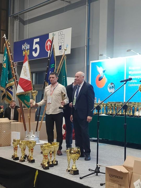 Zamojskie, roztoczańskie gołębie na wystawie POLAND 2025 w Kielcach [ZDJĘCIA]