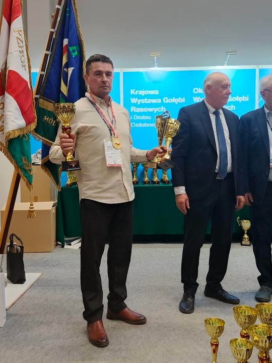 Zamojskie, roztoczańskie gołębie na wystawie POLAND 2025 w Kielcach [ZDJĘCIA]