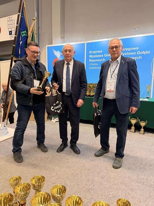 Zamojskie, roztoczańskie gołębie na wystawie POLAND 2025 w Kielcach [ZDJĘCIA]
