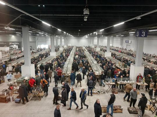 Zamojskie, roztoczańskie gołębie na wystawie POLAND 2025 w Kielcach [ZDJĘCIA]