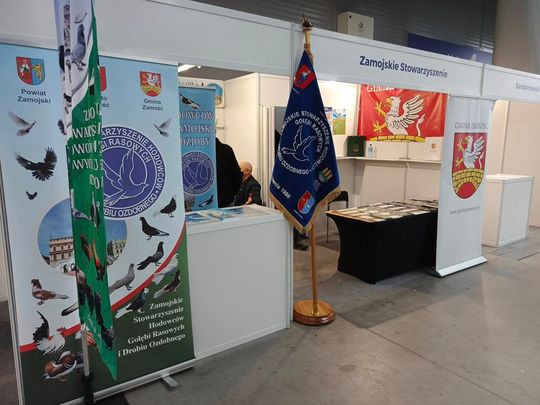Zamojskie, roztoczańskie gołębie na wystawie POLAND 2025 w Kielcach [ZDJĘCIA]