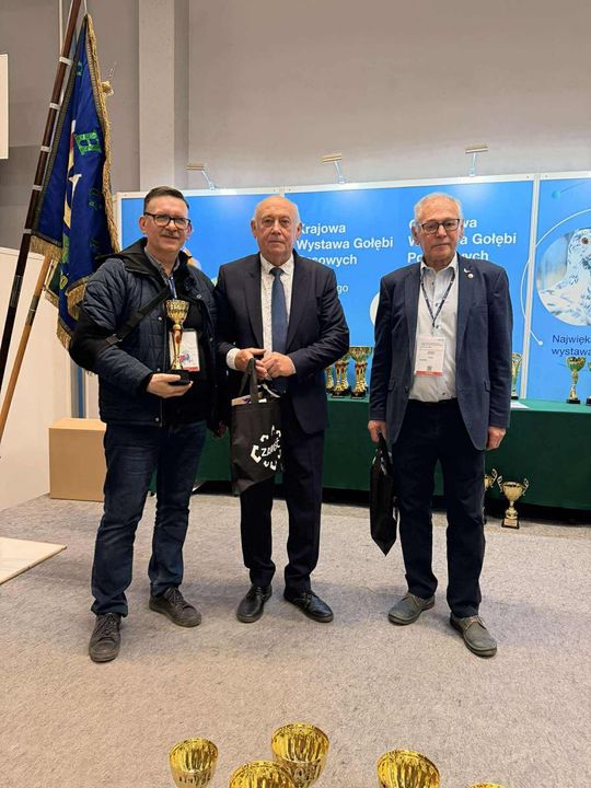 Zamojskie, roztoczańskie gołębie na wystawie POLAND 2025 w Kielcach [ZDJĘCIA]