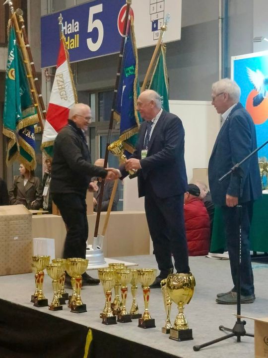 Zamojskie, roztoczańskie gołębie na wystawie POLAND 2025 w Kielcach [ZDJĘCIA]