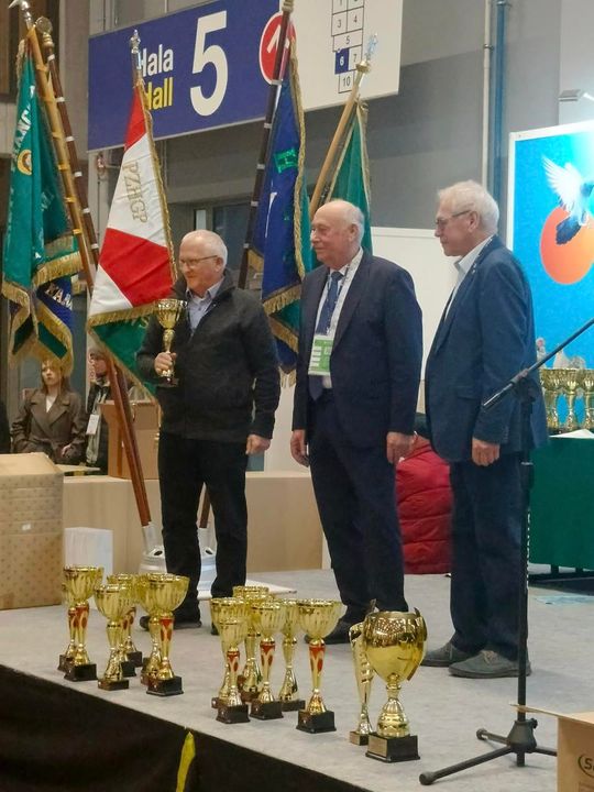 Zamojskie, roztoczańskie gołębie na wystawie POLAND 2025 w Kielcach [ZDJĘCIA]