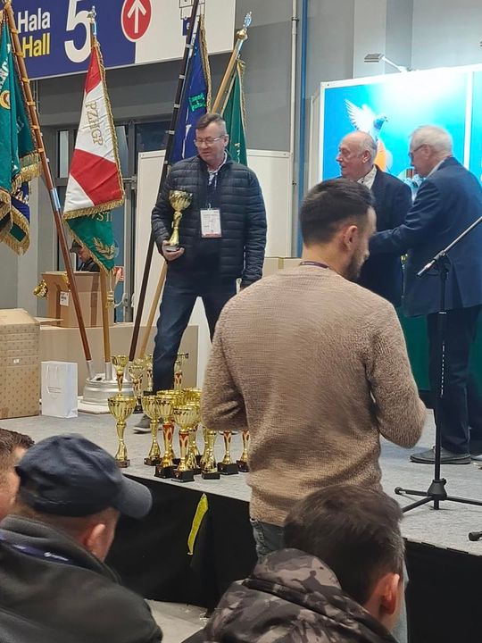 Zamojskie, roztoczańskie gołębie na wystawie POLAND 2025 w Kielcach [ZDJĘCIA]