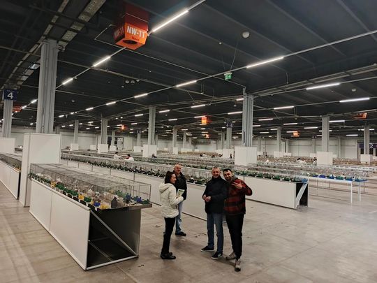 Zamojskie, roztoczańskie gołębie na wystawie POLAND 2025 w Kielcach [ZDJĘCIA]