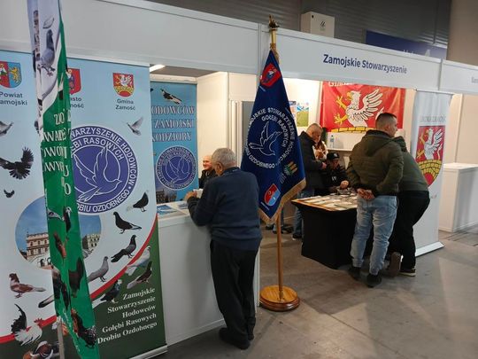 Zamojskie, roztoczańskie gołębie na wystawie POLAND 2025 w Kielcach [ZDJĘCIA]