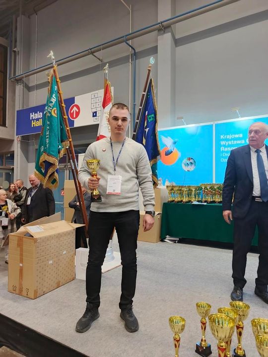 Zamojskie, roztoczańskie gołębie na wystawie POLAND 2025 w Kielcach [ZDJĘCIA]