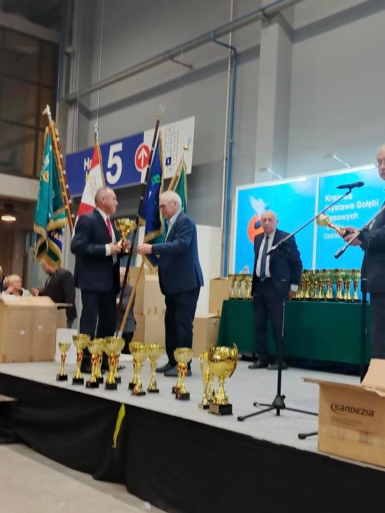 Zamojskie, roztoczańskie gołębie na wystawie POLAND 2025 w Kielcach [ZDJĘCIA]