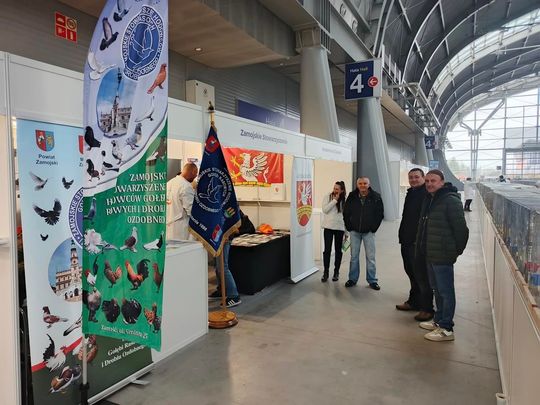 Zamojskie, roztoczańskie gołębie na wystawie POLAND 2025 w Kielcach [ZDJĘCIA]