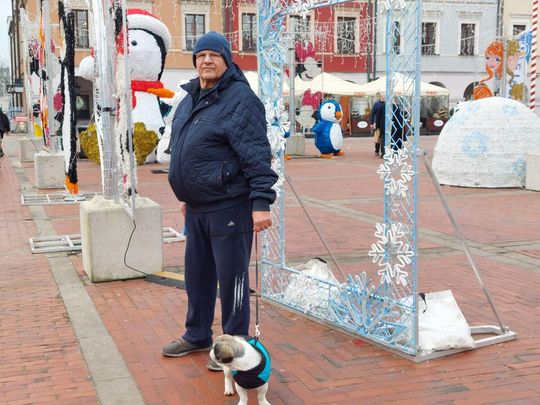 Jarmark świąteczny w Zamościu [ZDJĘCIA cz. 2]