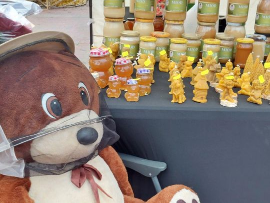 Jarmark świąteczny w Zamościu [ZDJĘCIA cz. 2]