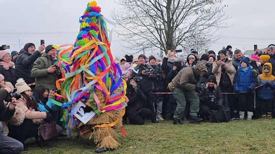 Brodacze ze Sławatycz - galeria zdjęć