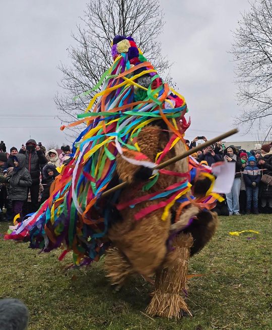 Brodacze ze Sławatycz - galeria zdjęć