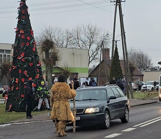 Brodacze ze Sławatycz - galeria zdjęć Brodacze ze Sławatycz - galeria zdjęć